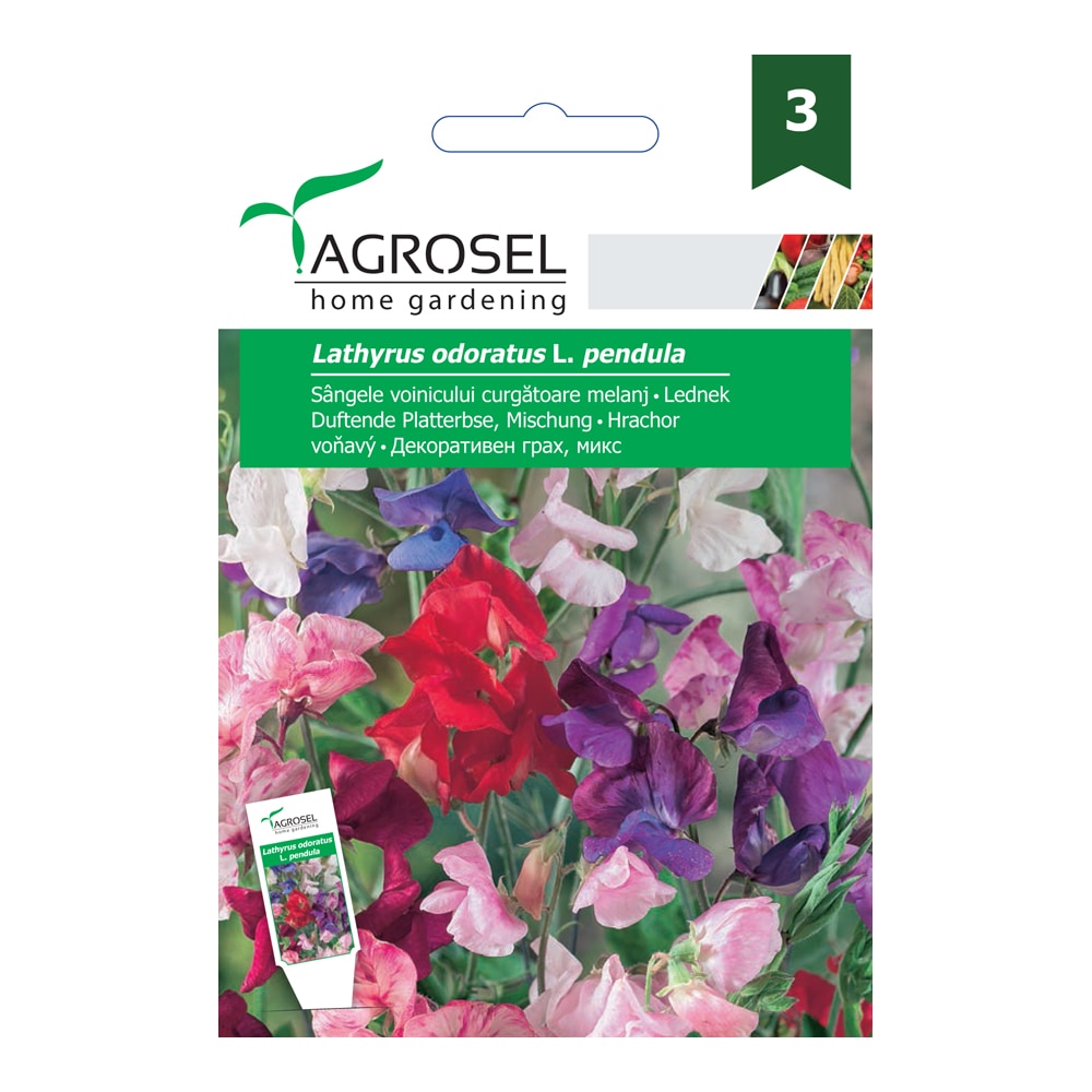 Sangele voinicului curgatoare  Agrosel