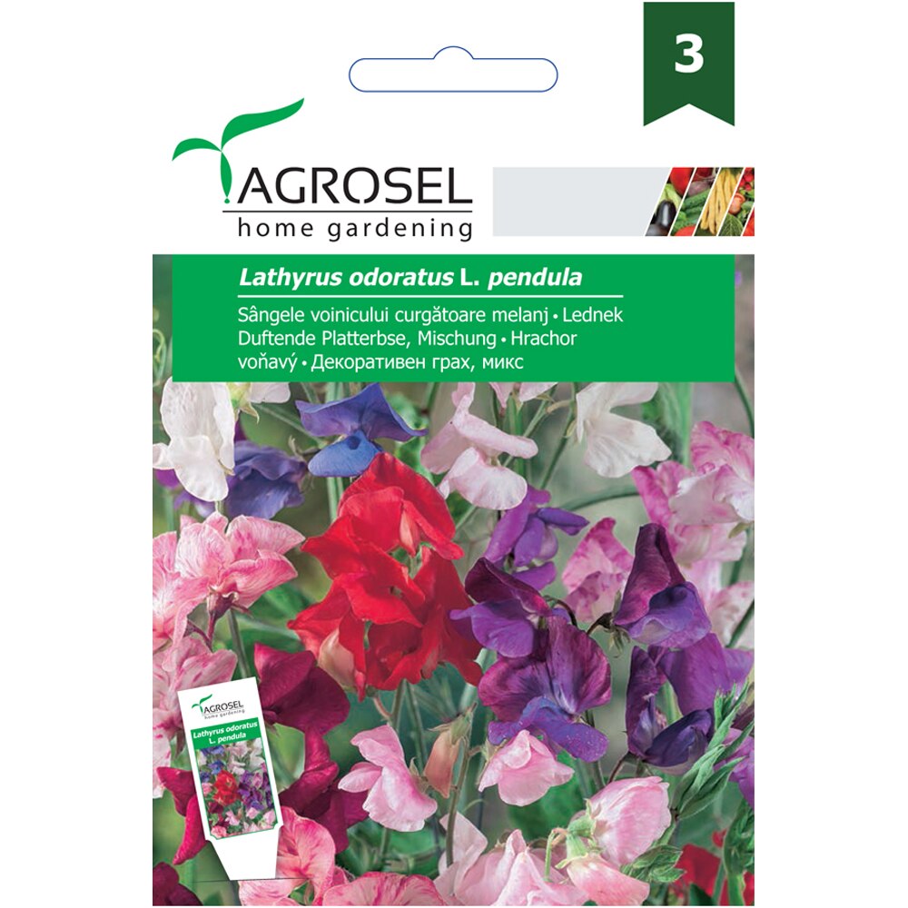 Seminte flori Sangele voinicului curgatoare AGROSEL