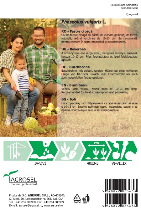 Fasole Ileana  Agrosel