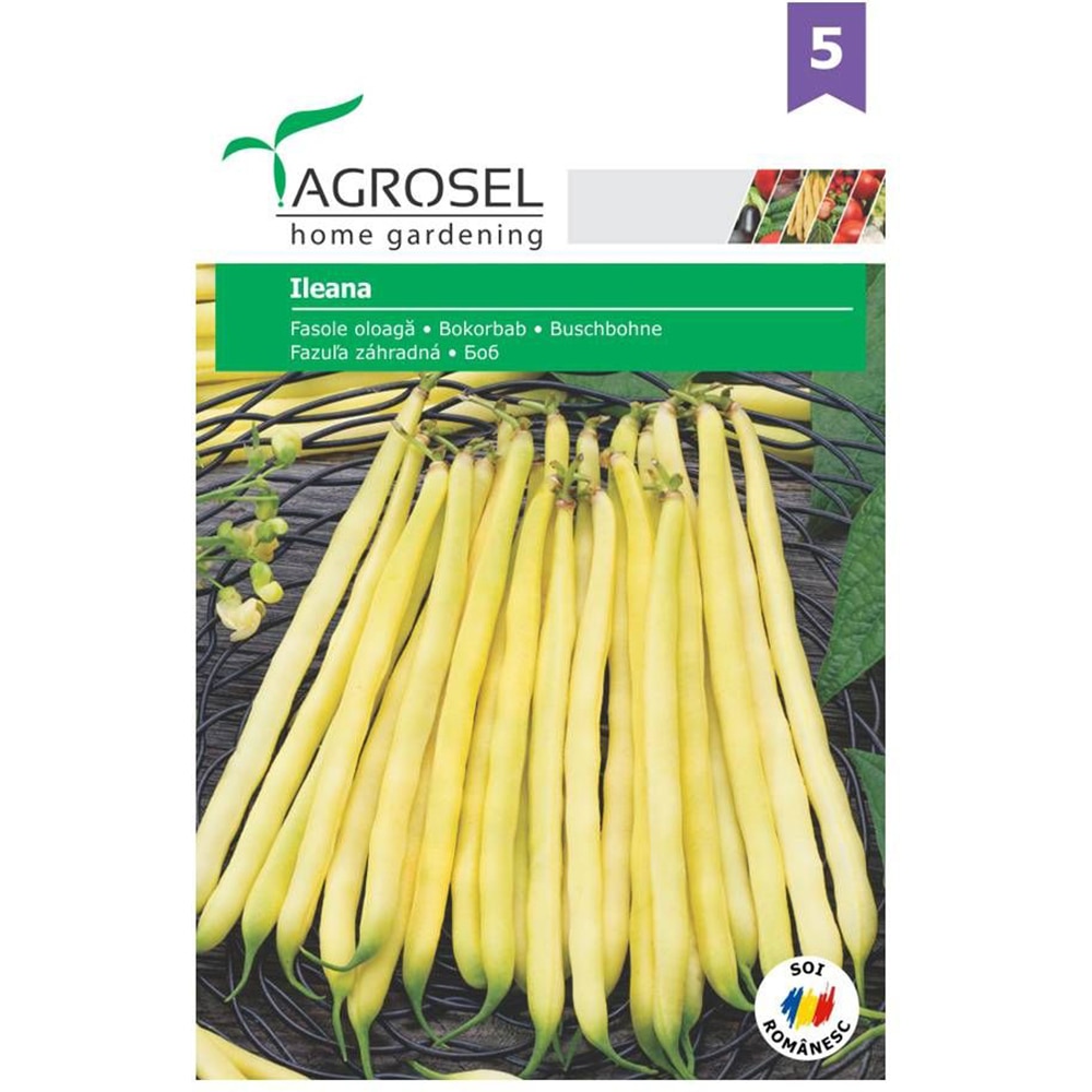 Seminte legume Fasole oloaga Ileana AGROSEL, 30g