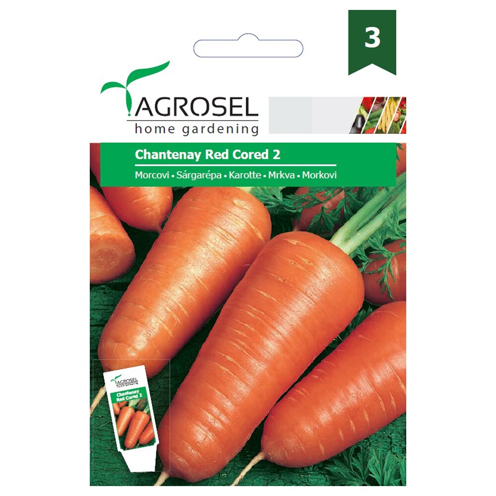 Morcovi chantenay red cored 2 • Agrosel