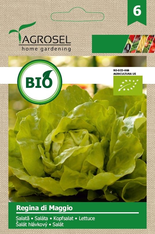 Salata Regina Di Magio Bio 3G Plic