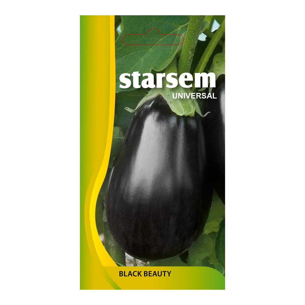 Vinete Black Beauty  Starsem