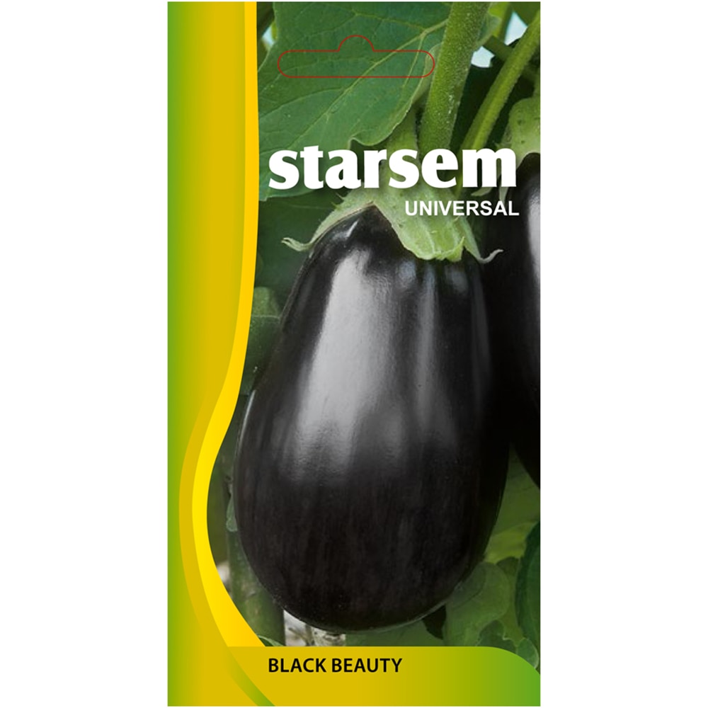 Seminte legume vinete Black Beauty STARSEM