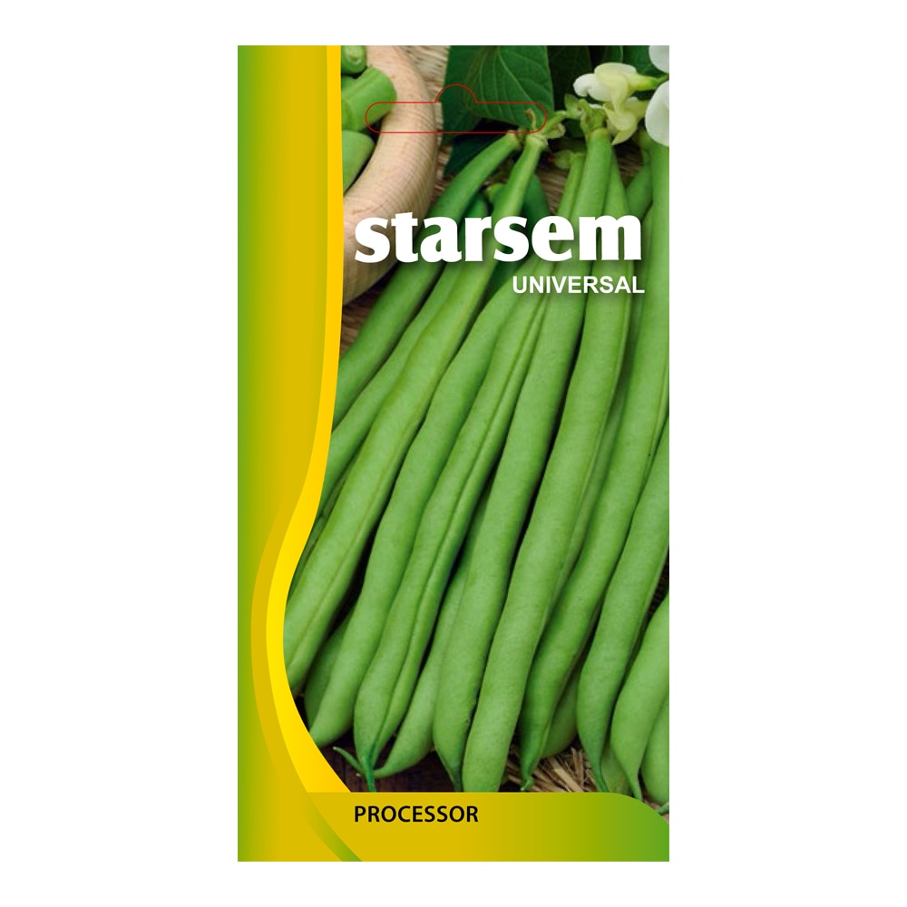 Fasole Oloaga Scuba  Starsem