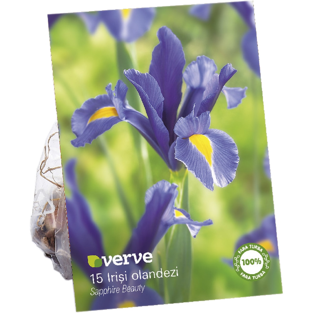 Bulbi Iris Sapphire Beauty VERVE, albastru, 15 buc
