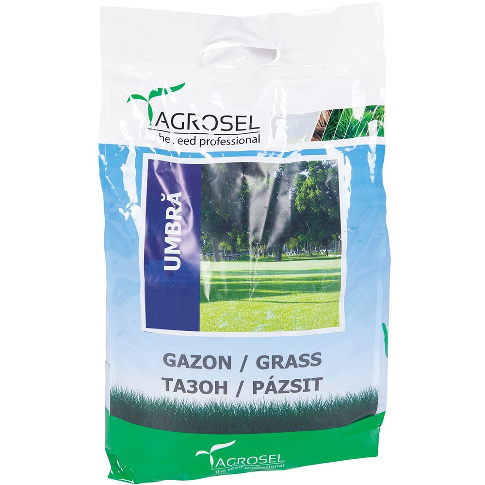 Seminte gazon umbra Agrosel, 5 kg