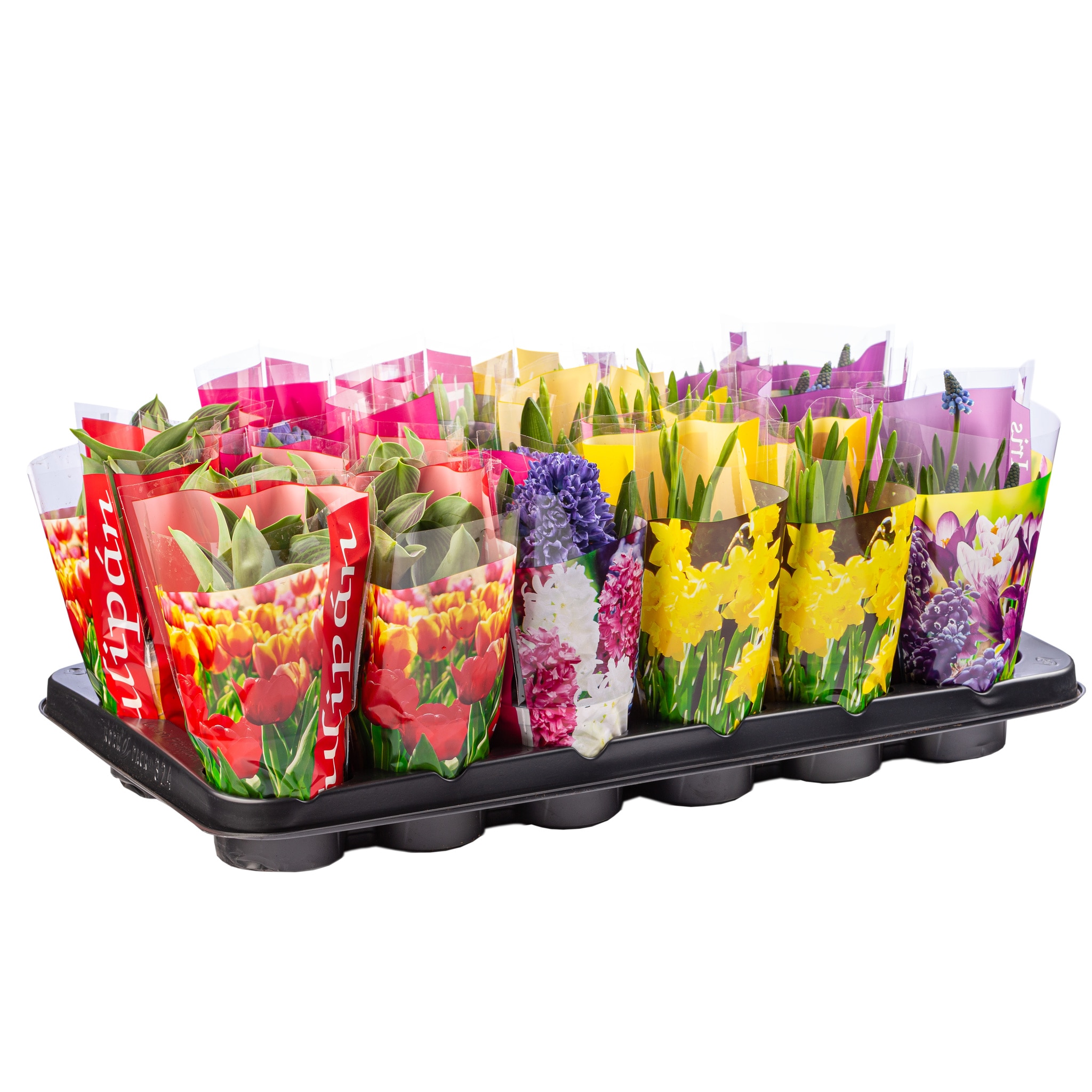 Bulbi Mix Cu Celofan Color 9