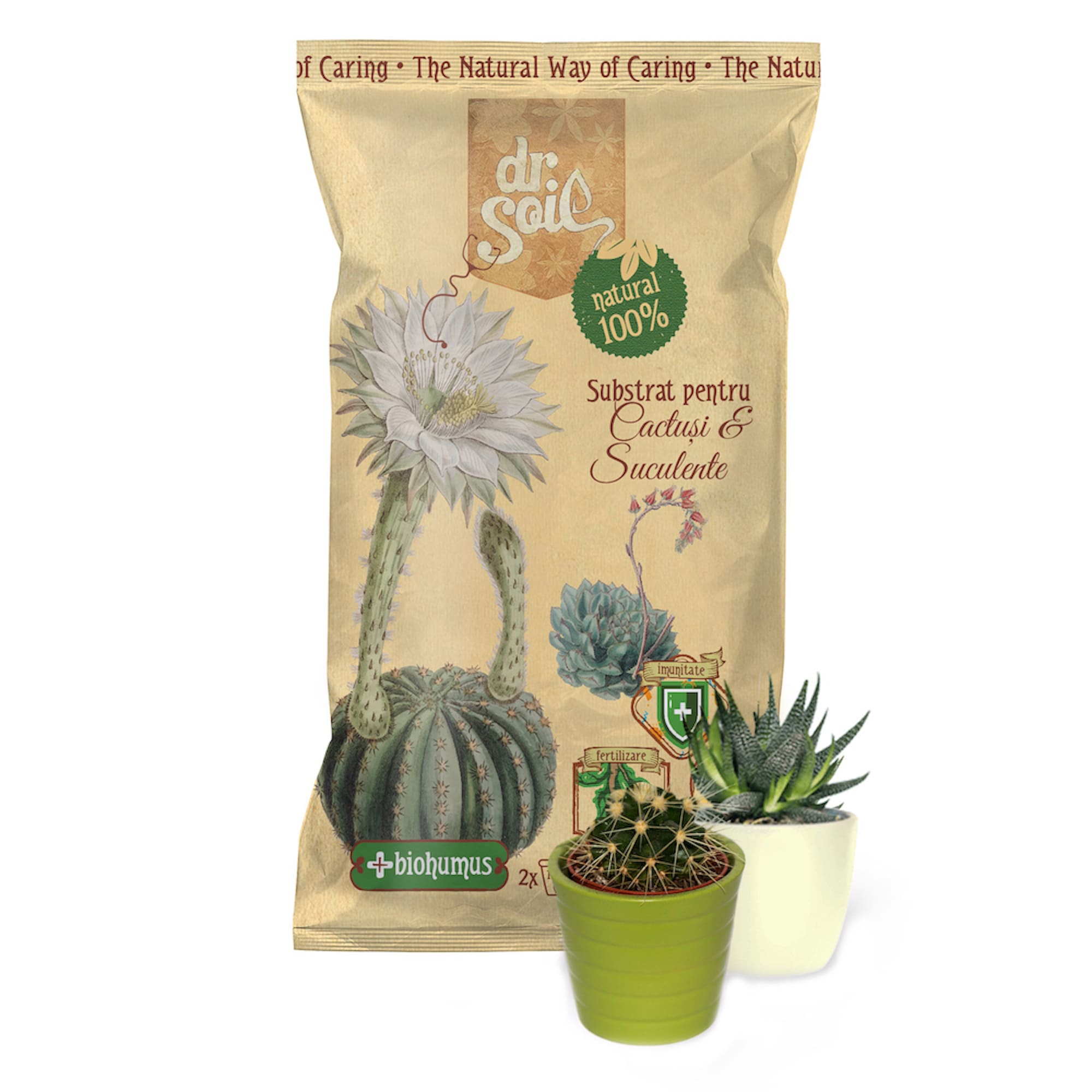 Substrat natural pentru cactusi si suculente, 1 L • Dr. Soil