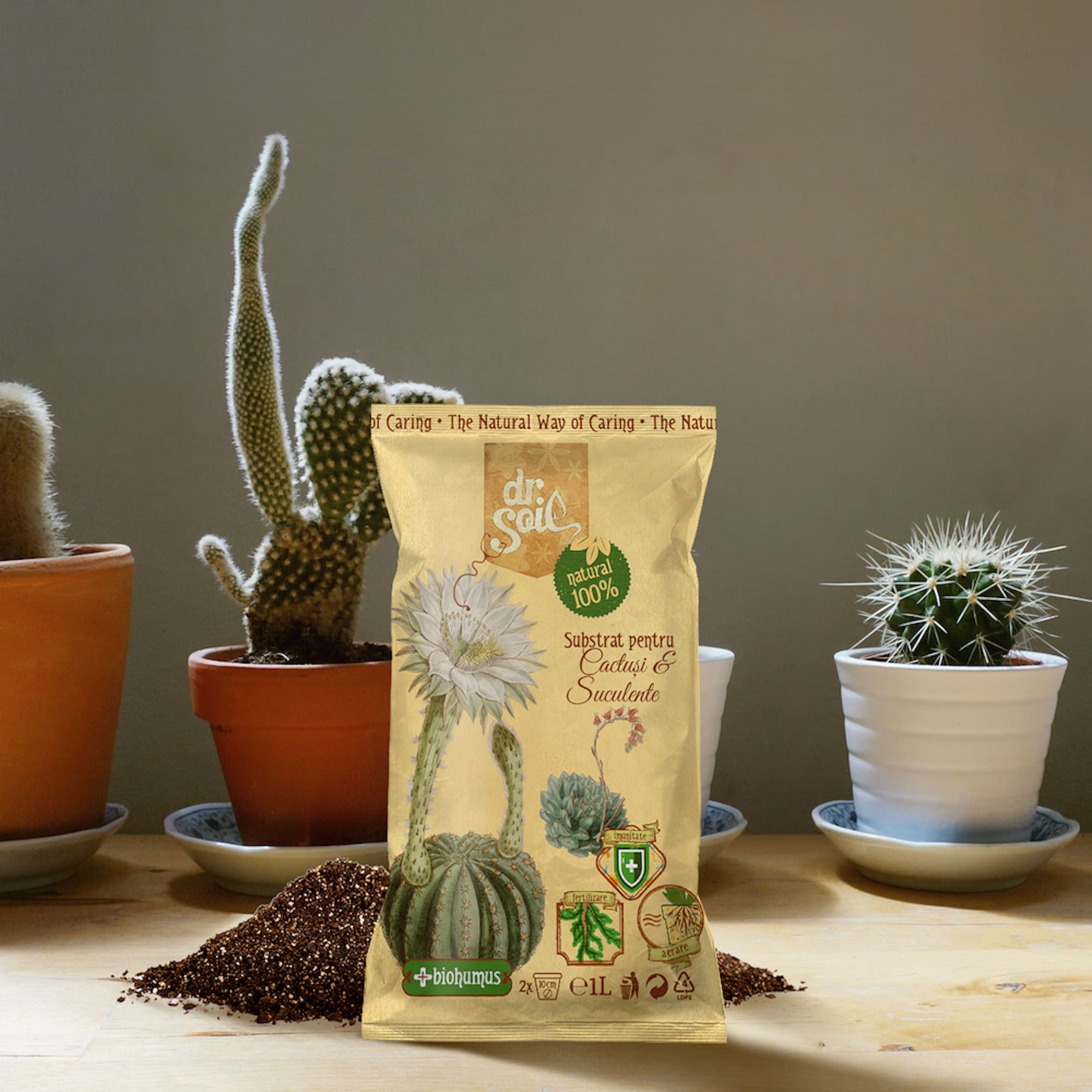 Substrat natural pentru cactusi si suculente, 1 L • Dr. Soil