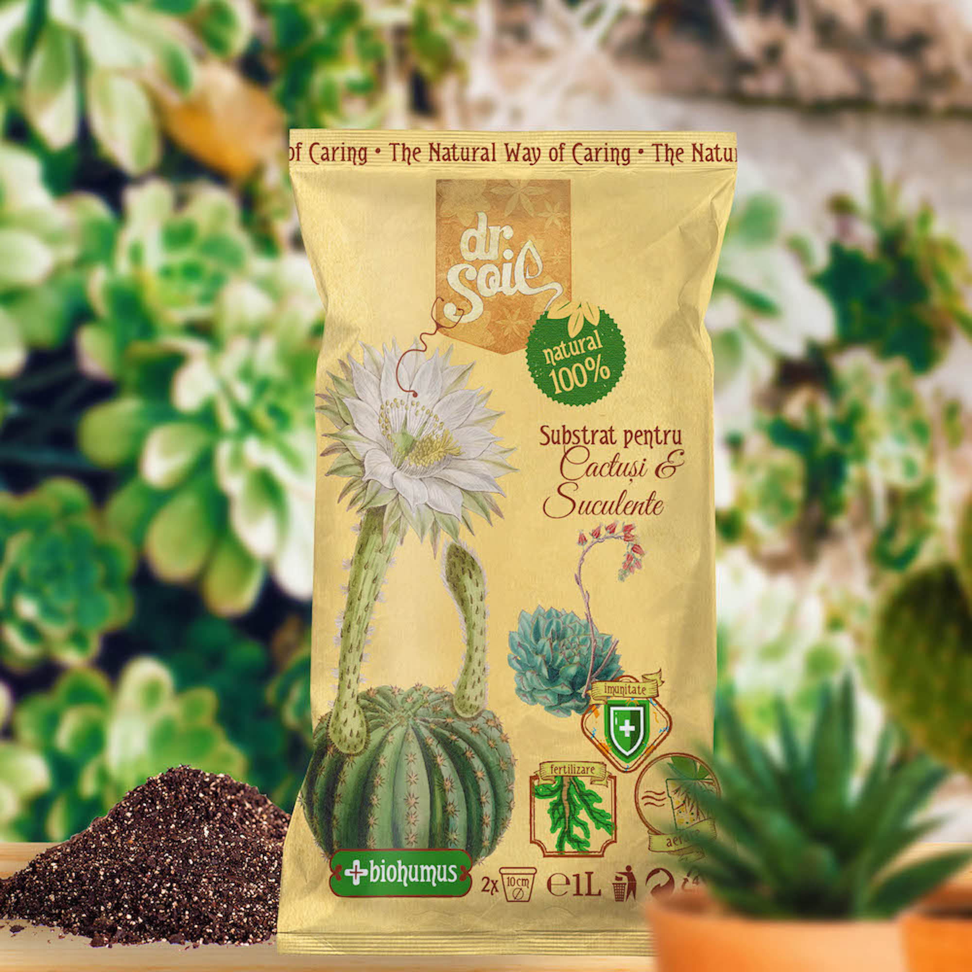 Substrat natural pentru cactusi si suculente, 1 L • Dr. Soil