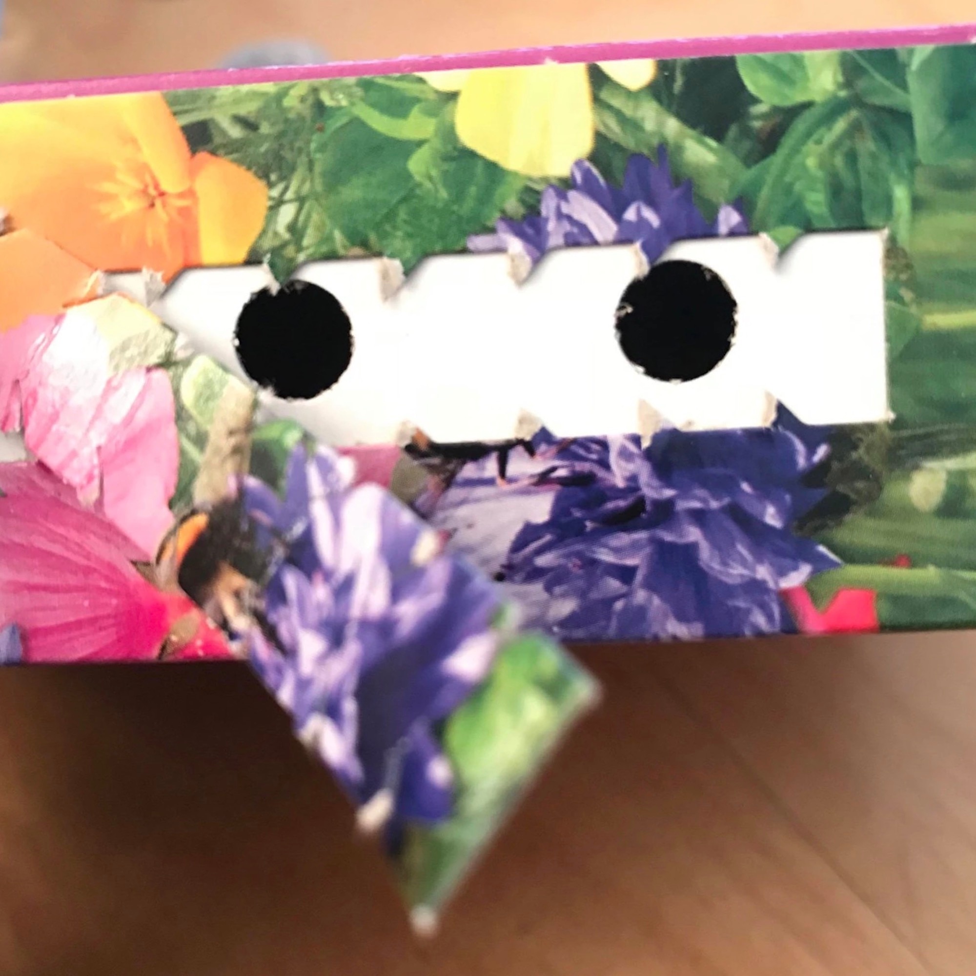 Seminte flori salbatice, 250 g • Shake n'Rake