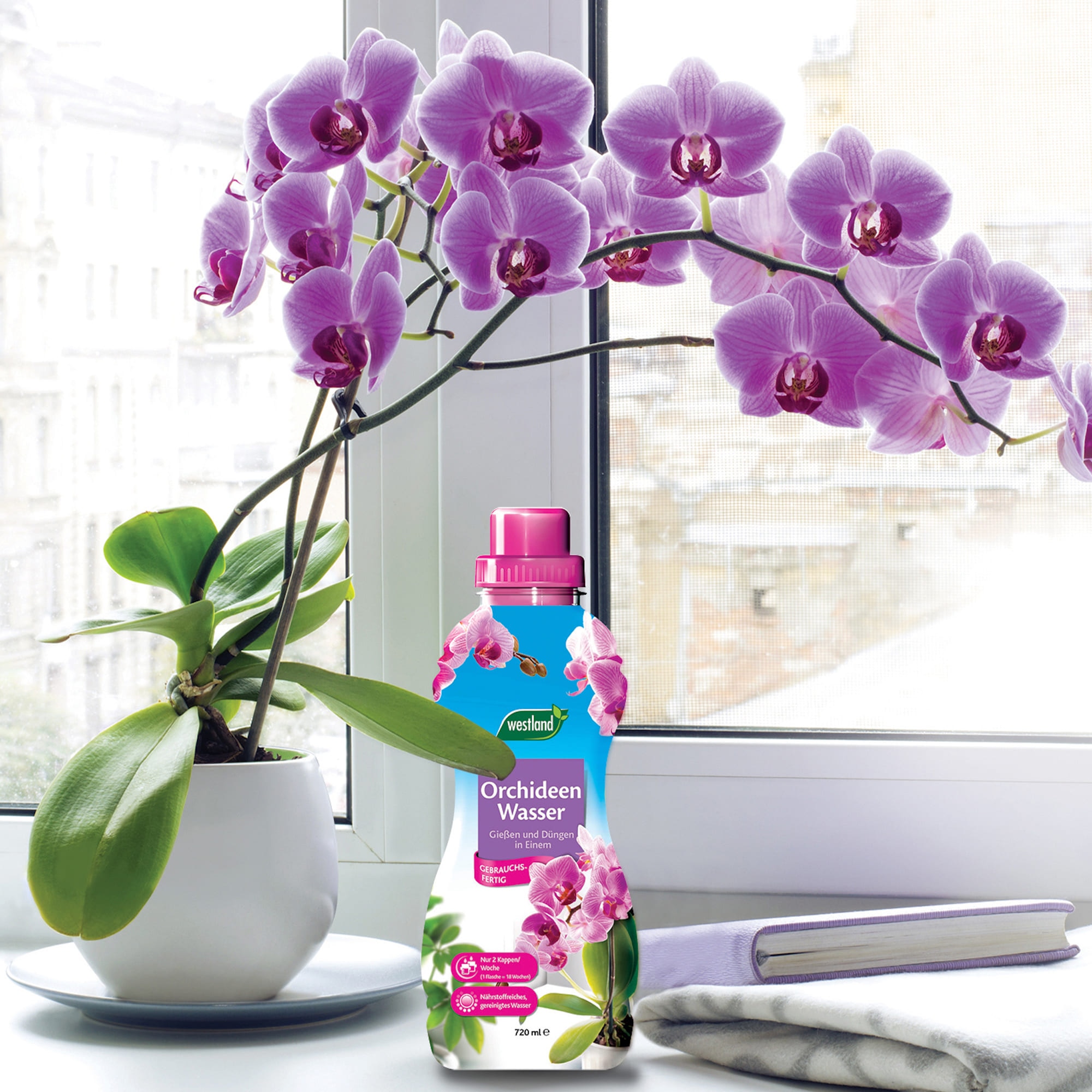 Ingrasamant lichid pentru orhidee, 0.72 l  Westland