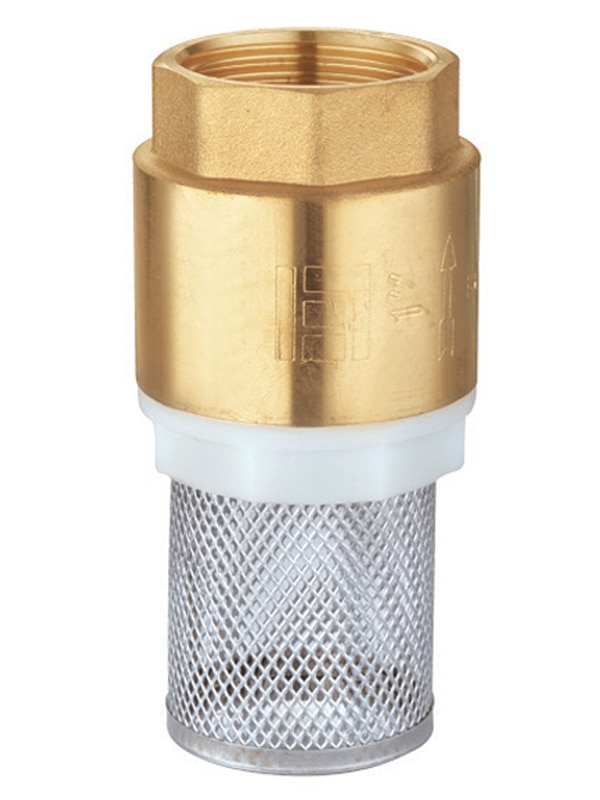 Supapa de sens cu sorb 2"  Everline