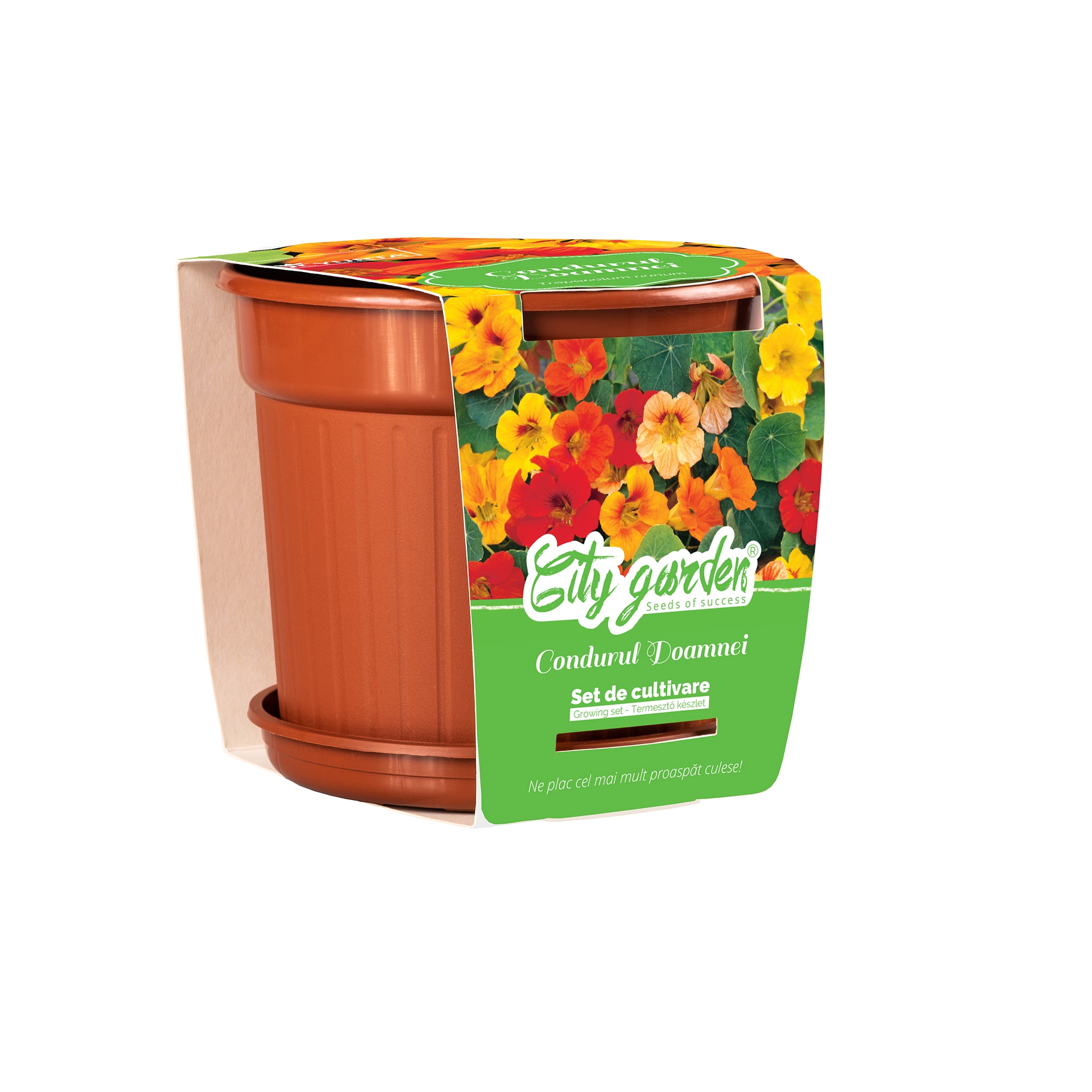 Flori Tropeolum Nanum Mixt Ghiveci