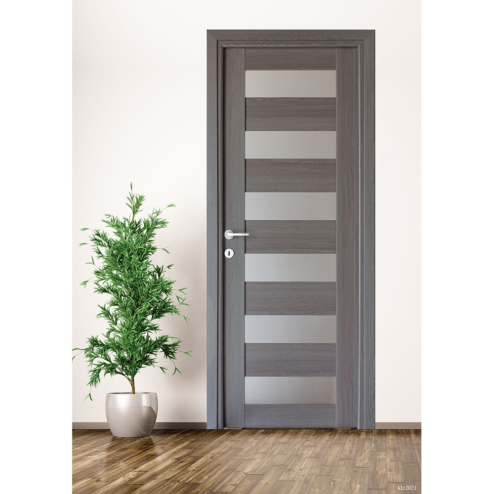 Usa interior Cerna, cu geam, reversibila, MDF, 88 x 203 cm, gri antracit