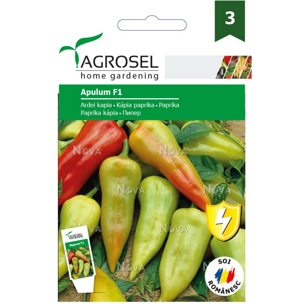 Seminte legume Ardei lung AGROSEL