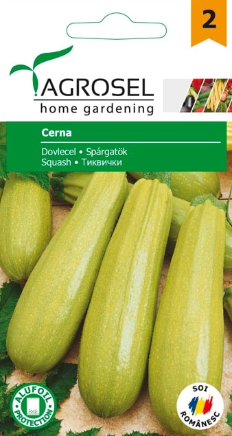 Seminte dovlecel Cerna  Agrosel