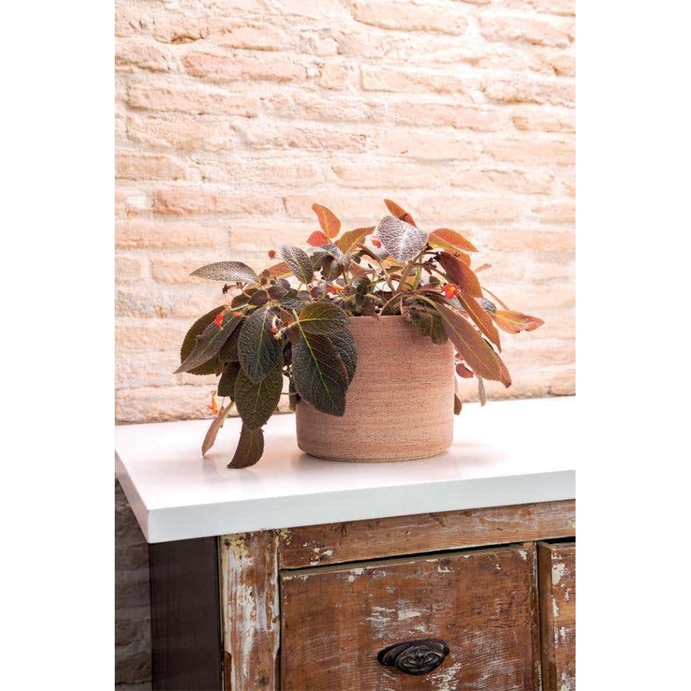 Ghiveci flori DEROMA Cilindro Luna, ceramica, D 20 cm, caramiziu