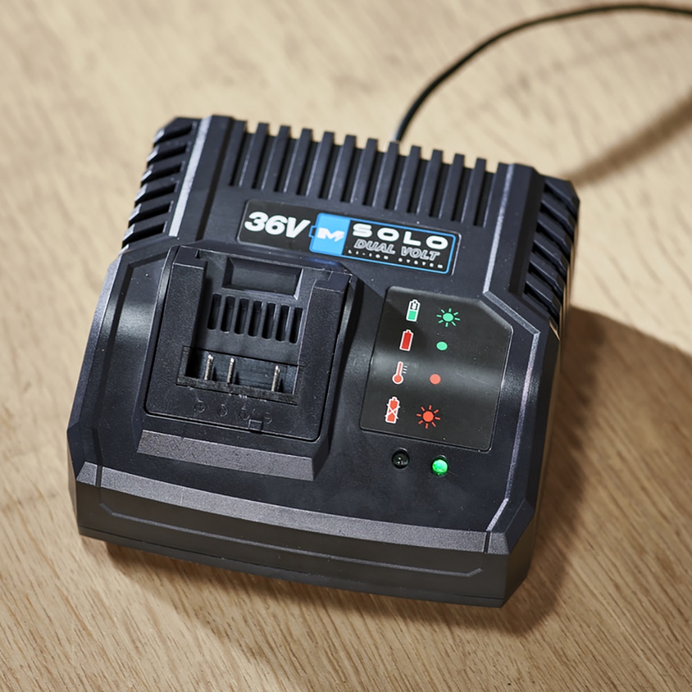 Incarcator rapid acumulator MAC ALISTER Solo Dual Voltage, 36V, 4.0Ah