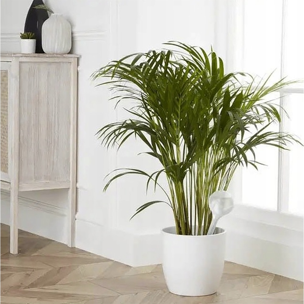 Sistem de udare plante VERVE, 360 ml, plastic, alb