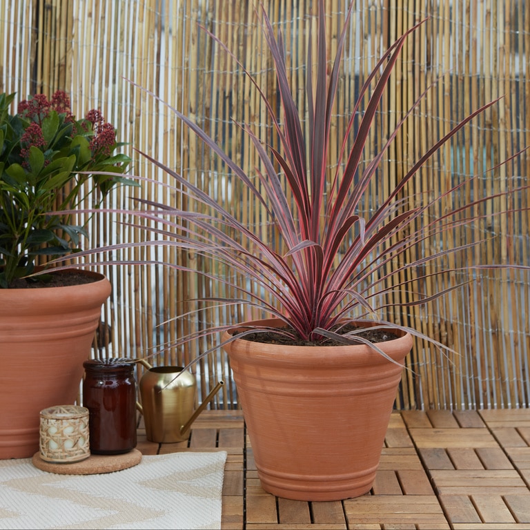 Ghiveci din plastic, maro, forma rotunda, 30.6 cm diametru  Verve