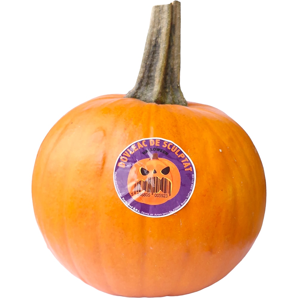 Dovleac Halloween YURTA