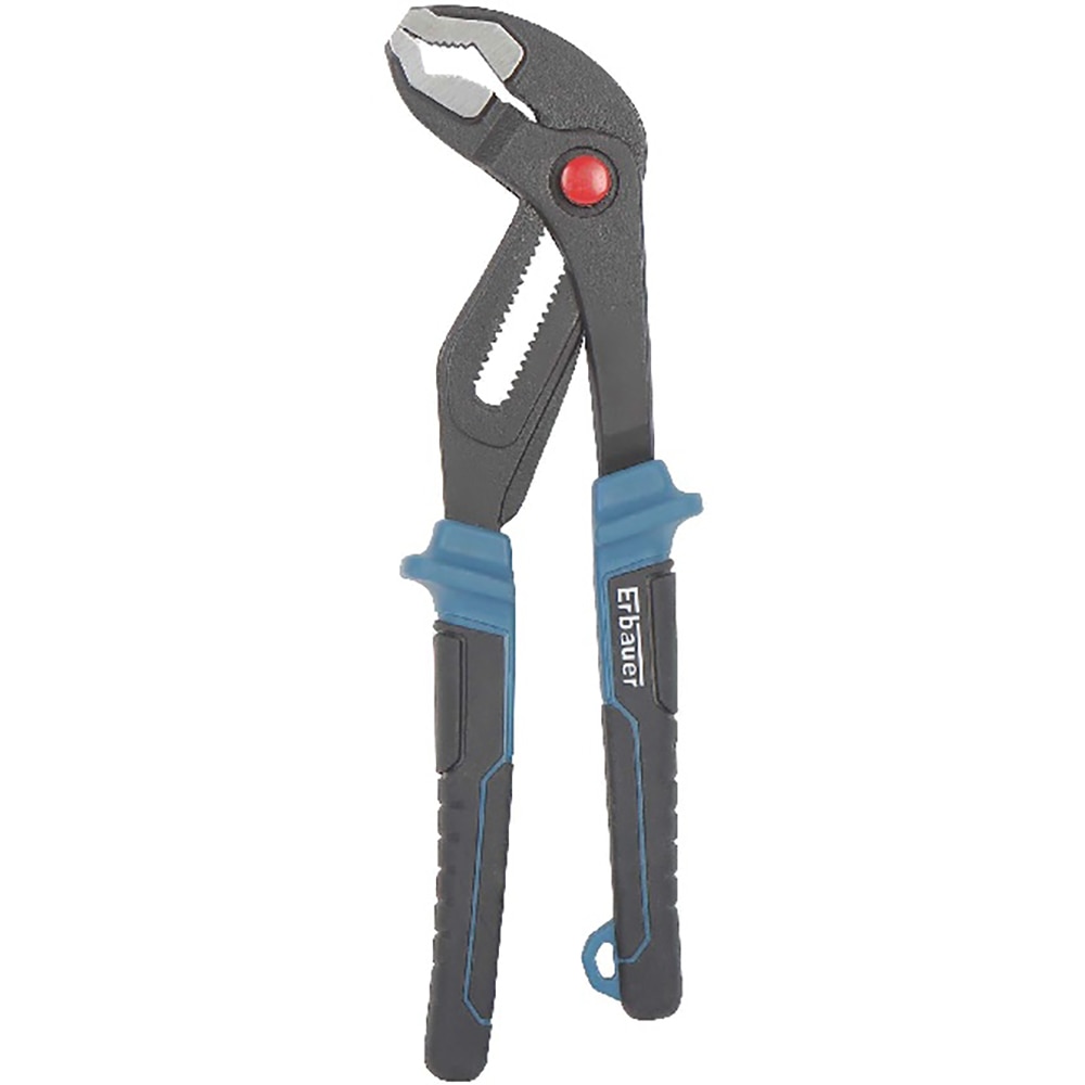 Cleste papagal ERBAUER, 25cm