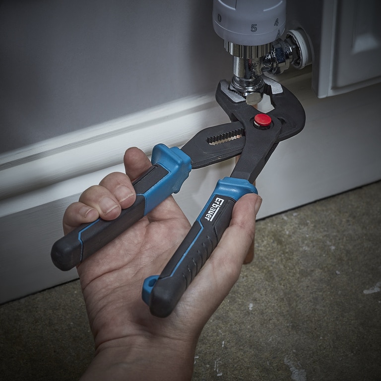 Cleste papagal, 10IN  Erbauer