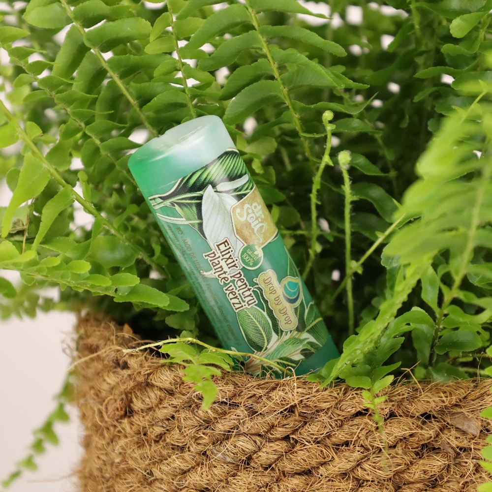 Elixir pentru plante verzi Dr. Soil, 32 ml