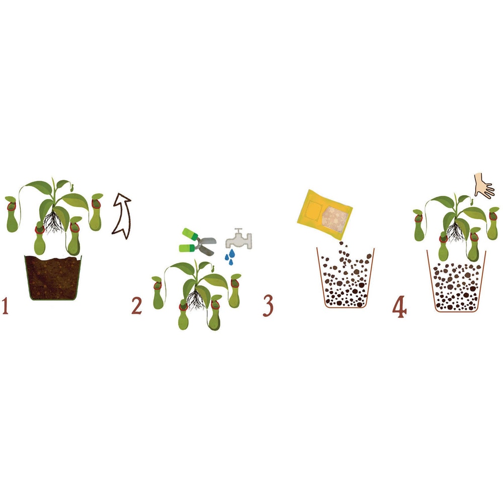 Substrat pentru plante carnivore Dr. Soil, 1 L