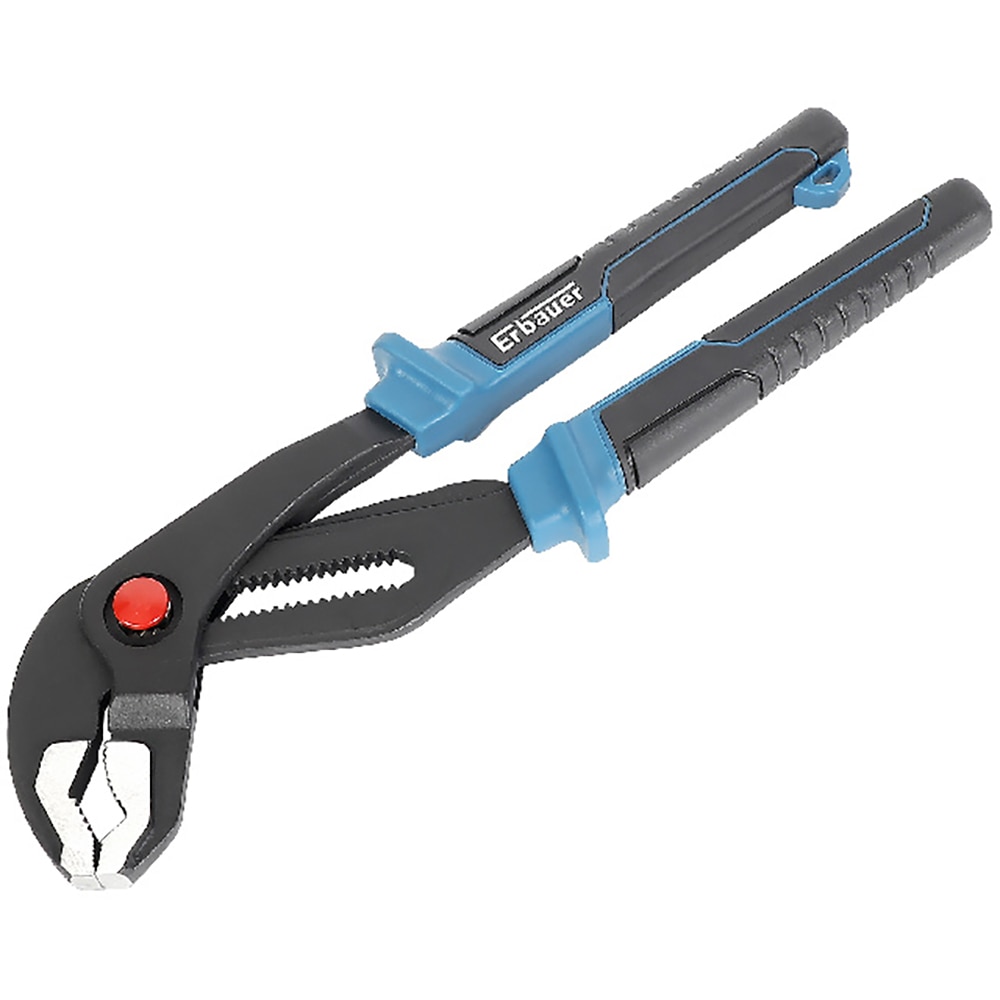 Cleste papagal ERBAUER, 30cm