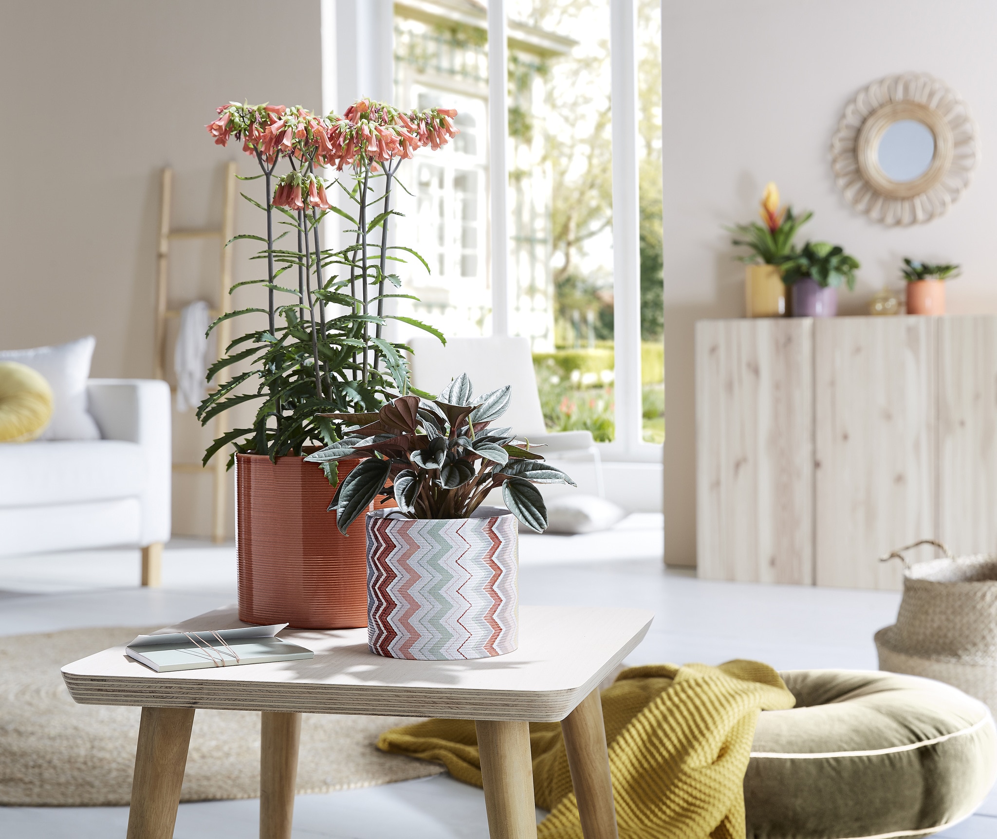 Ghiveci, rotund multicolor, 14 cm  Scheurich