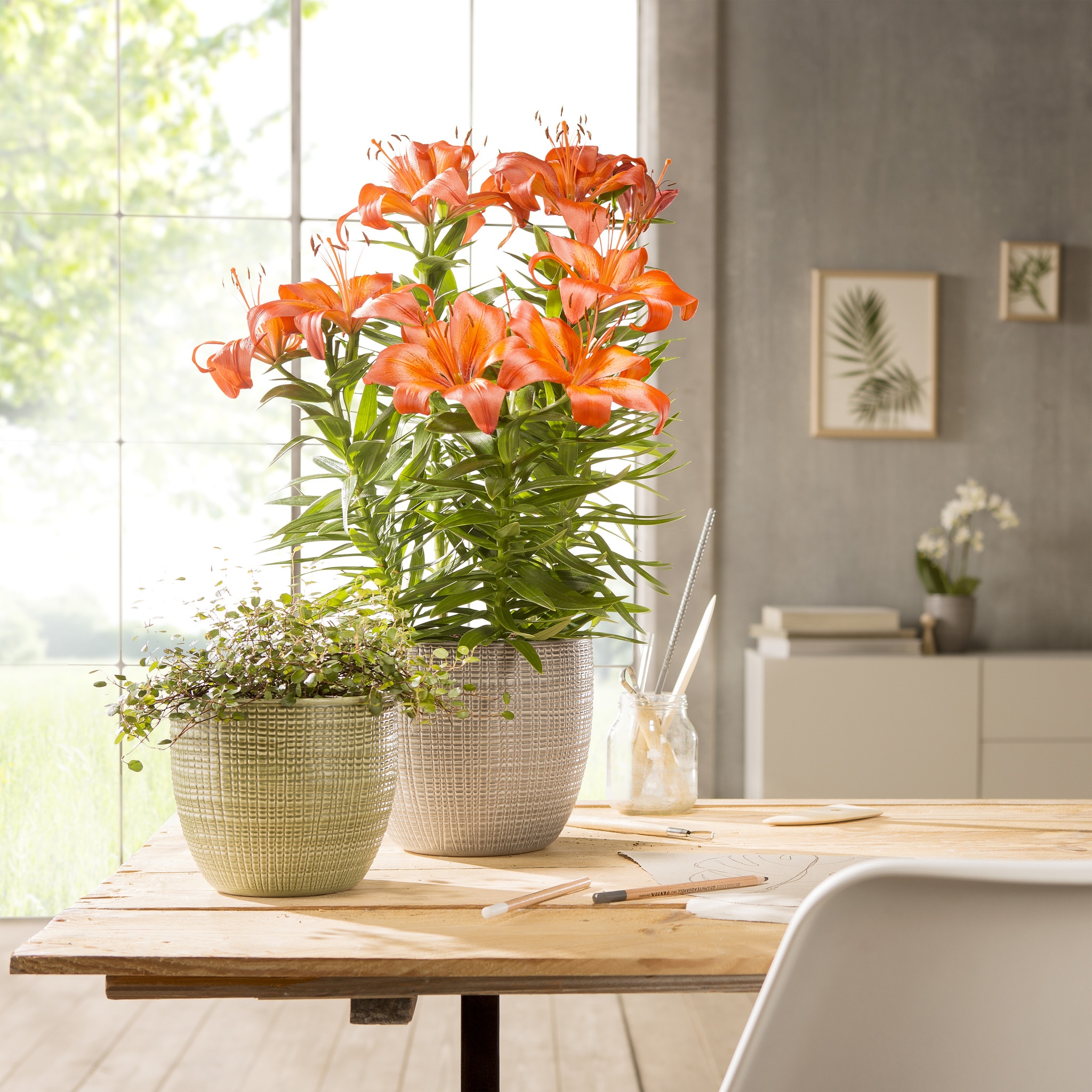 Ghiveci, rotund verde, 12 cm  Scheurich