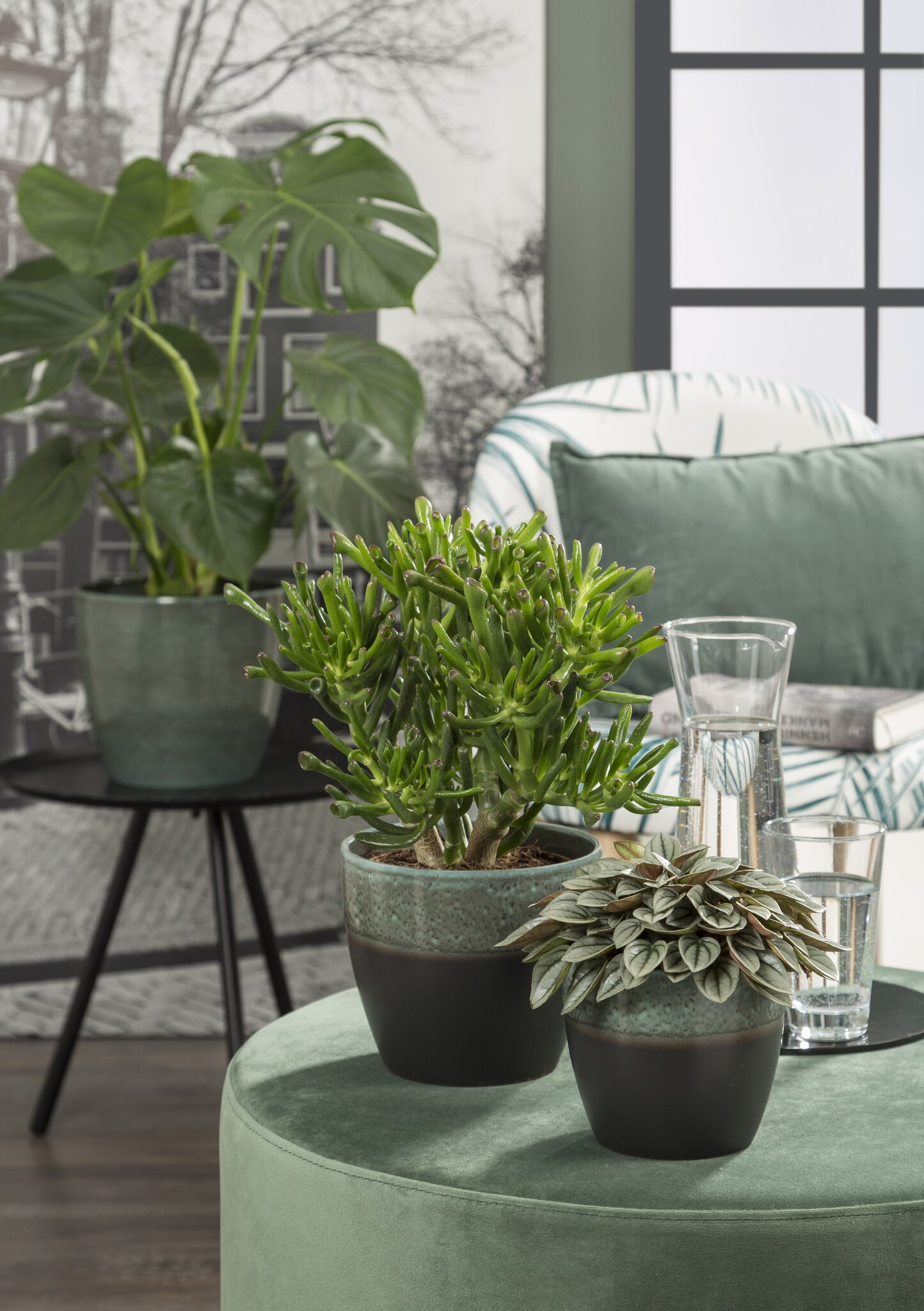 Ghiveci, rotund verde inchis Moss, 16 cm • Scheurich