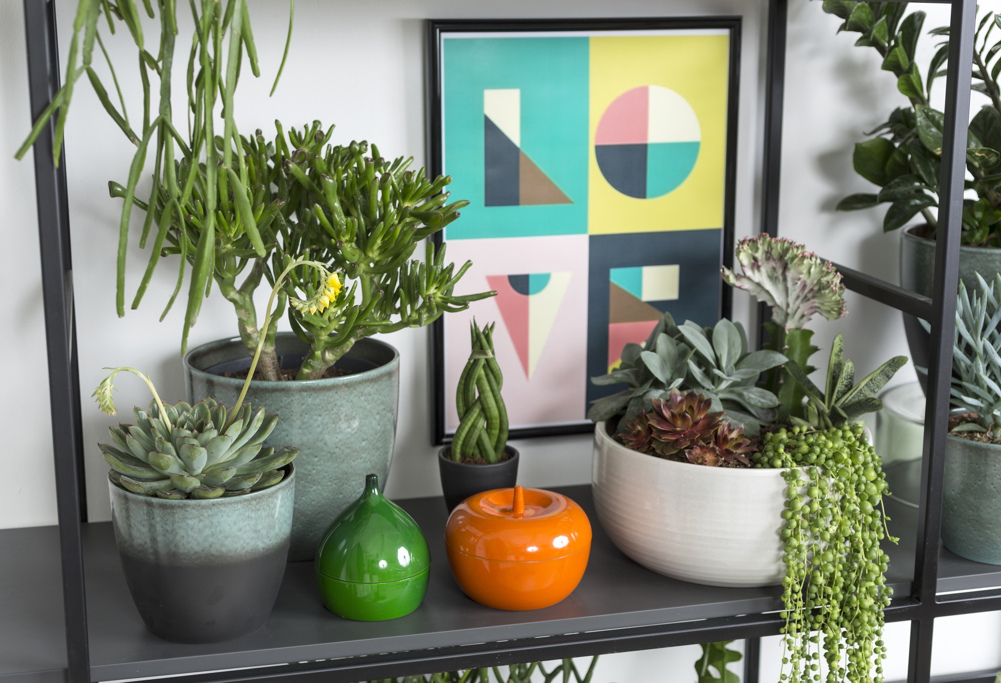 Ghiveci, rotund verde Scottish Moss, 19 cm  Scheurich