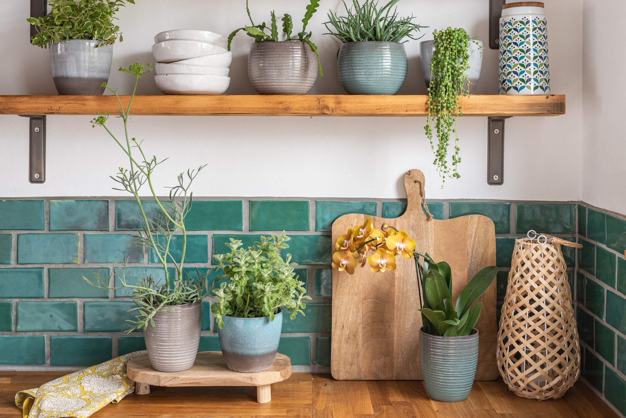 Ghiveci, rotund gri Wild Ice, 16 cm  Scheurich