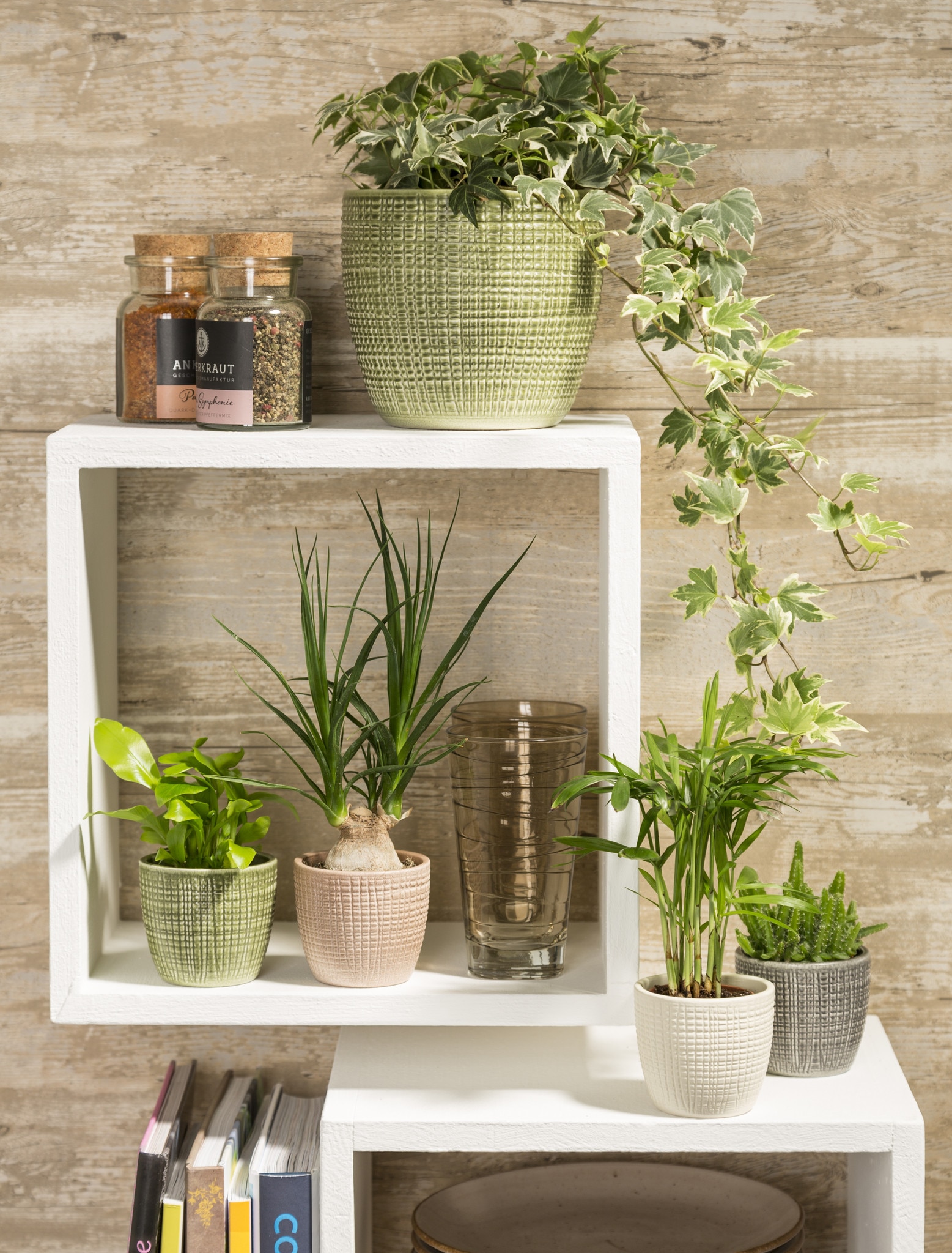 Ghiveci, rotund alb Vanilla, 12 cm  Scheurich