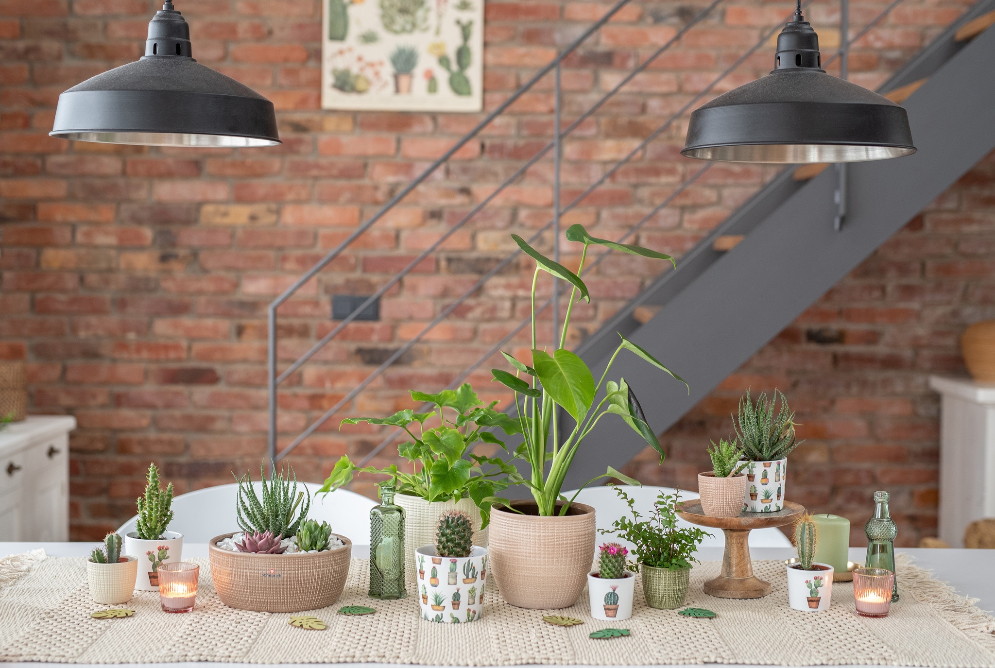 Ghiveci, rotund bej Canela, 24.5 cm  Scheurich