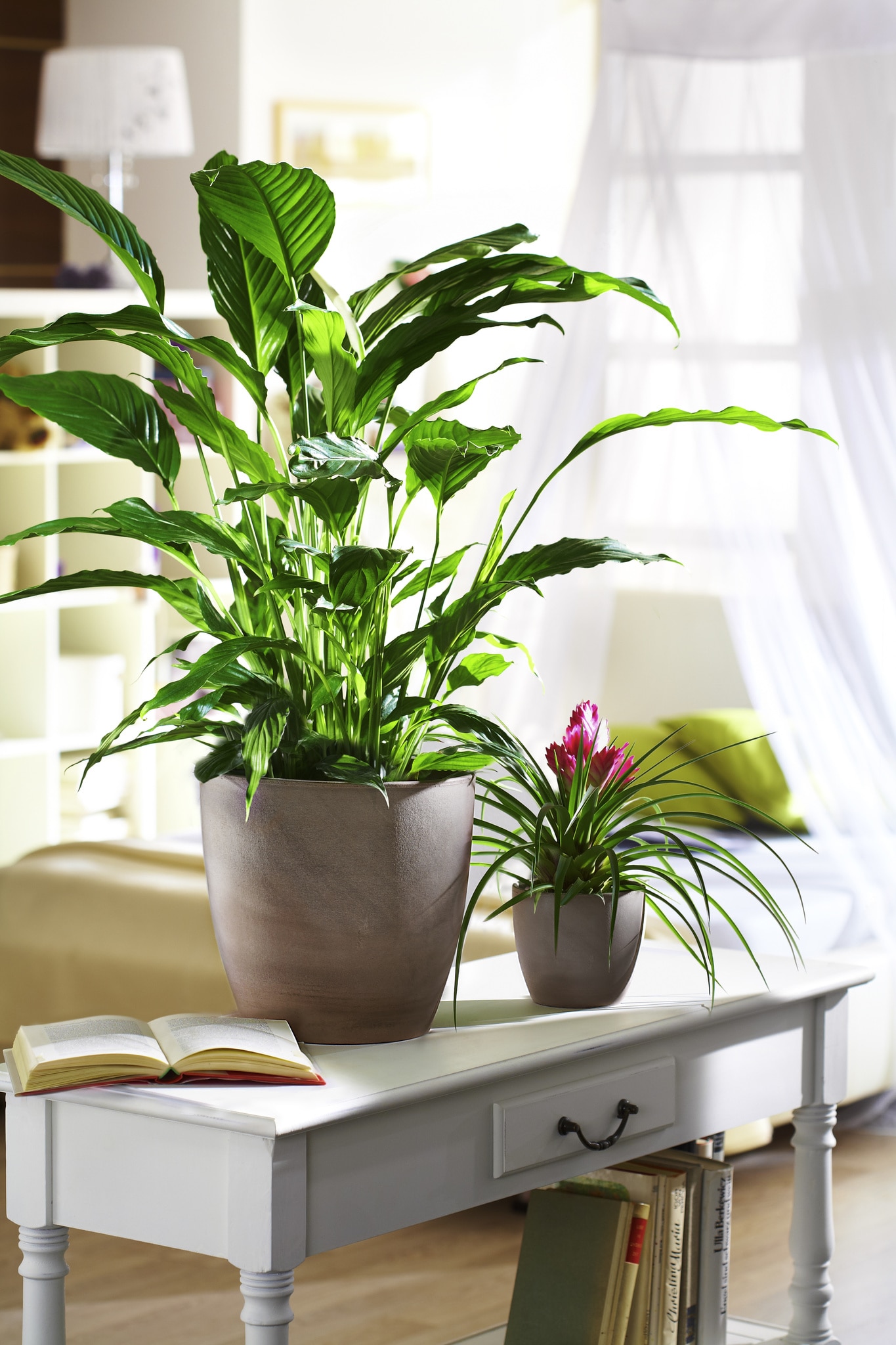 Ghiveci, rotund maro, 24.6 cm  Scheurich