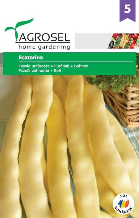 Seminte fasole Ecaterina AGROSEL, 5.4 g