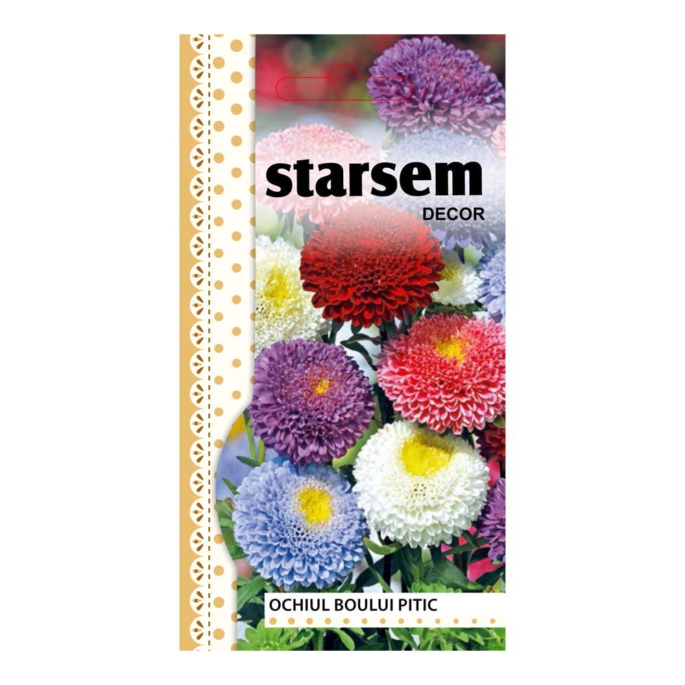 Ochiul Boului Pitic Mj.