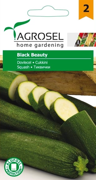 Dovlecel Black Beauty