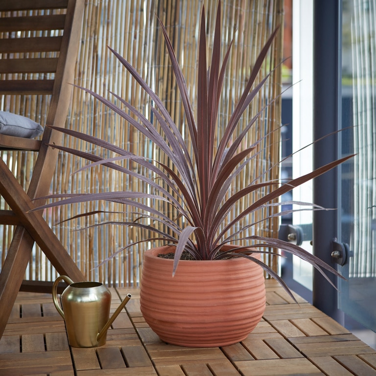 Ghiveci din teracota, natur, forma rotunda, 26 cm diametru  Verve