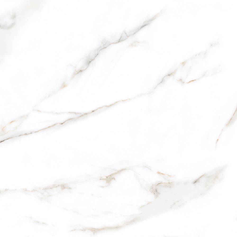 Gresie Interior/Exterior, Alb, Portelanata, 60 x 60 cm, suprafata 1,44 mp, Lavish Calcutta