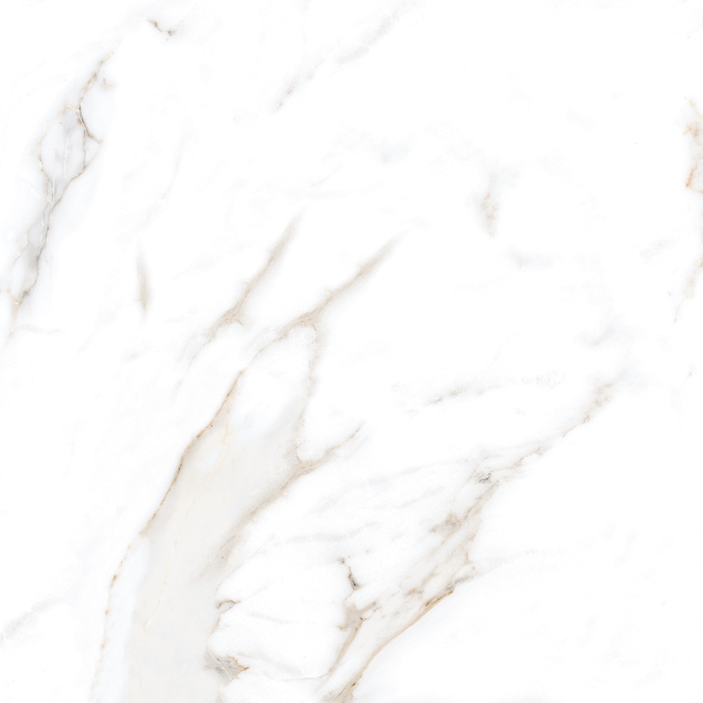 Gresie Interior/Exterior, Alb, Portelanata, 60 x 60 cm, suprafata 1,44 mp, Lavish Calcutta