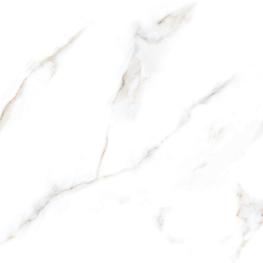 Gresie Interior/Exterior, Alb, Portelanata, 60 x 60 cm, suprafata 1,44 mp, Lavish Calcutta