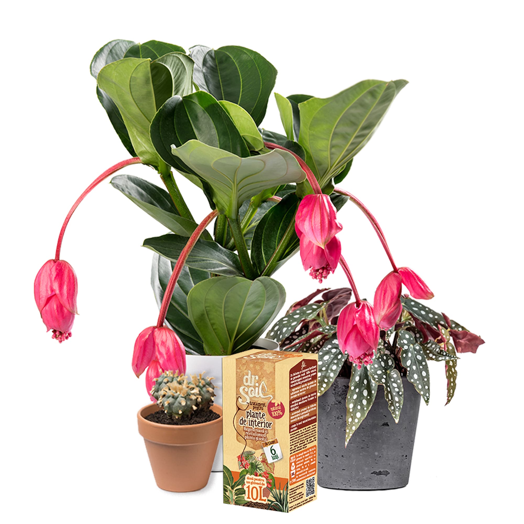 Tratament pentru plante de interior, 0.15 L  Dr. Soil