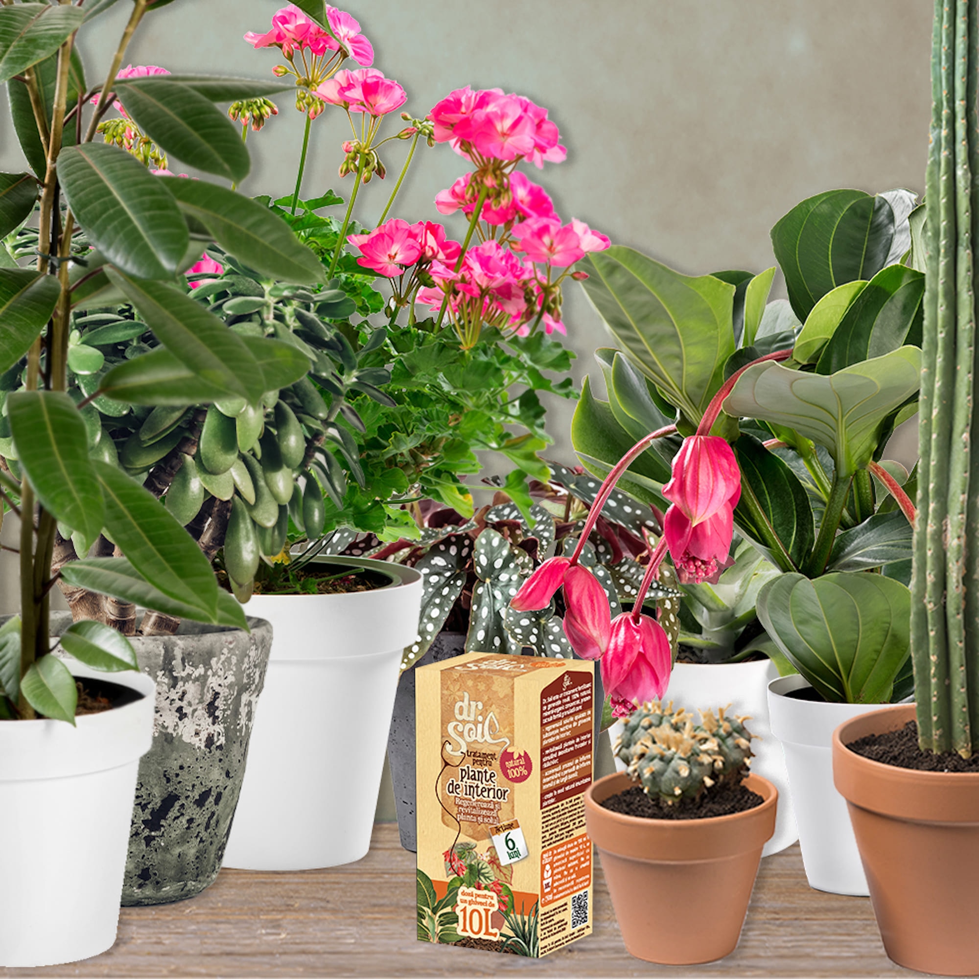 Tratament pentru plante de interior, 0.15 L  Dr. Soil