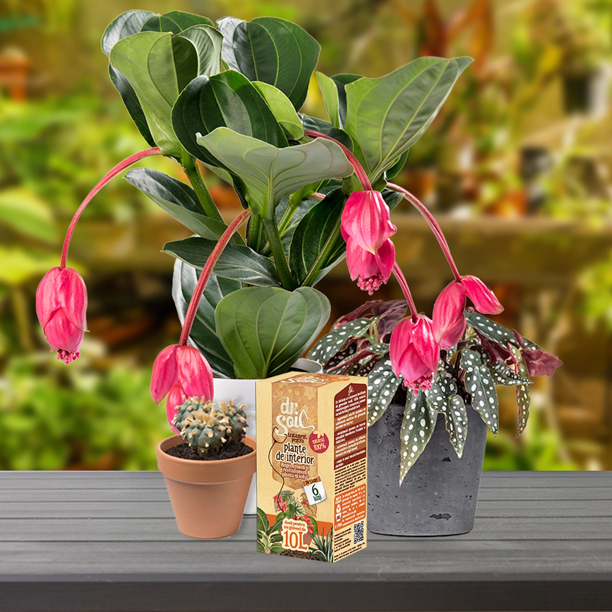 Tratament pentru plante de interior, 0.15 L  Dr. Soil